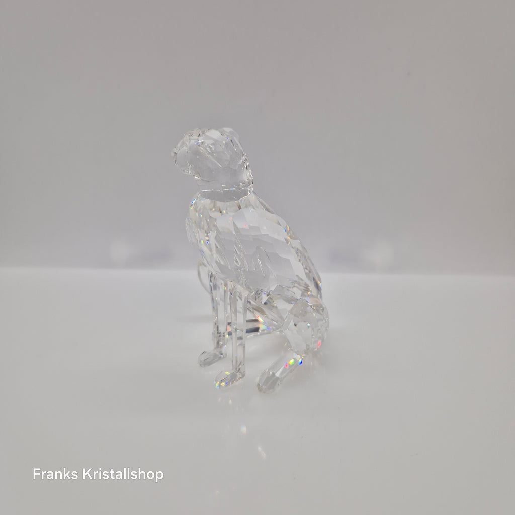 SWAROVSKI Der Gepard 183225