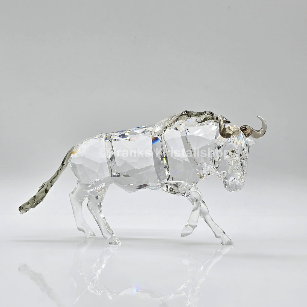 SWAROVSKI Gnu 933662
