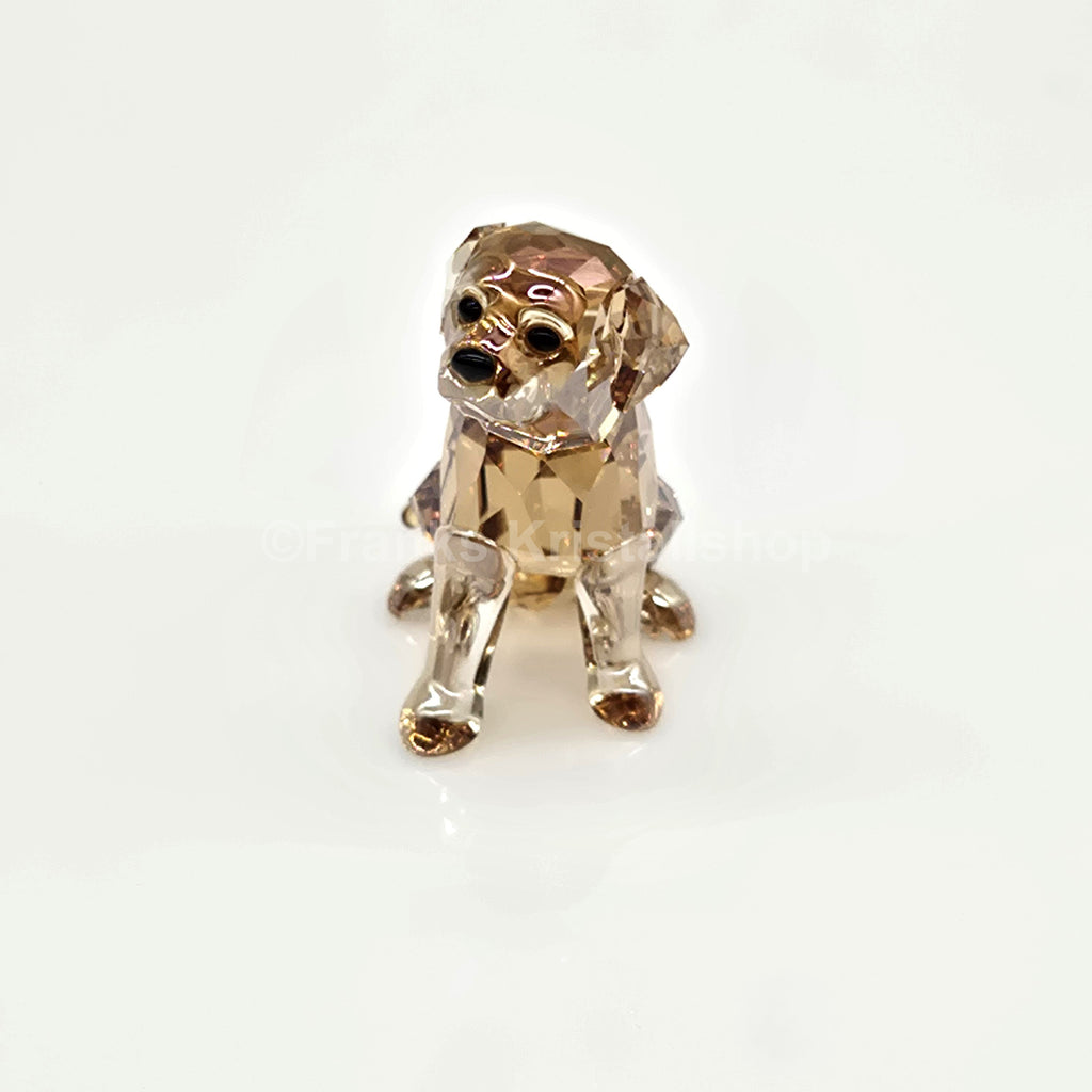 SWAROVSKI Golden Retriever Welpe sitzend 1142825