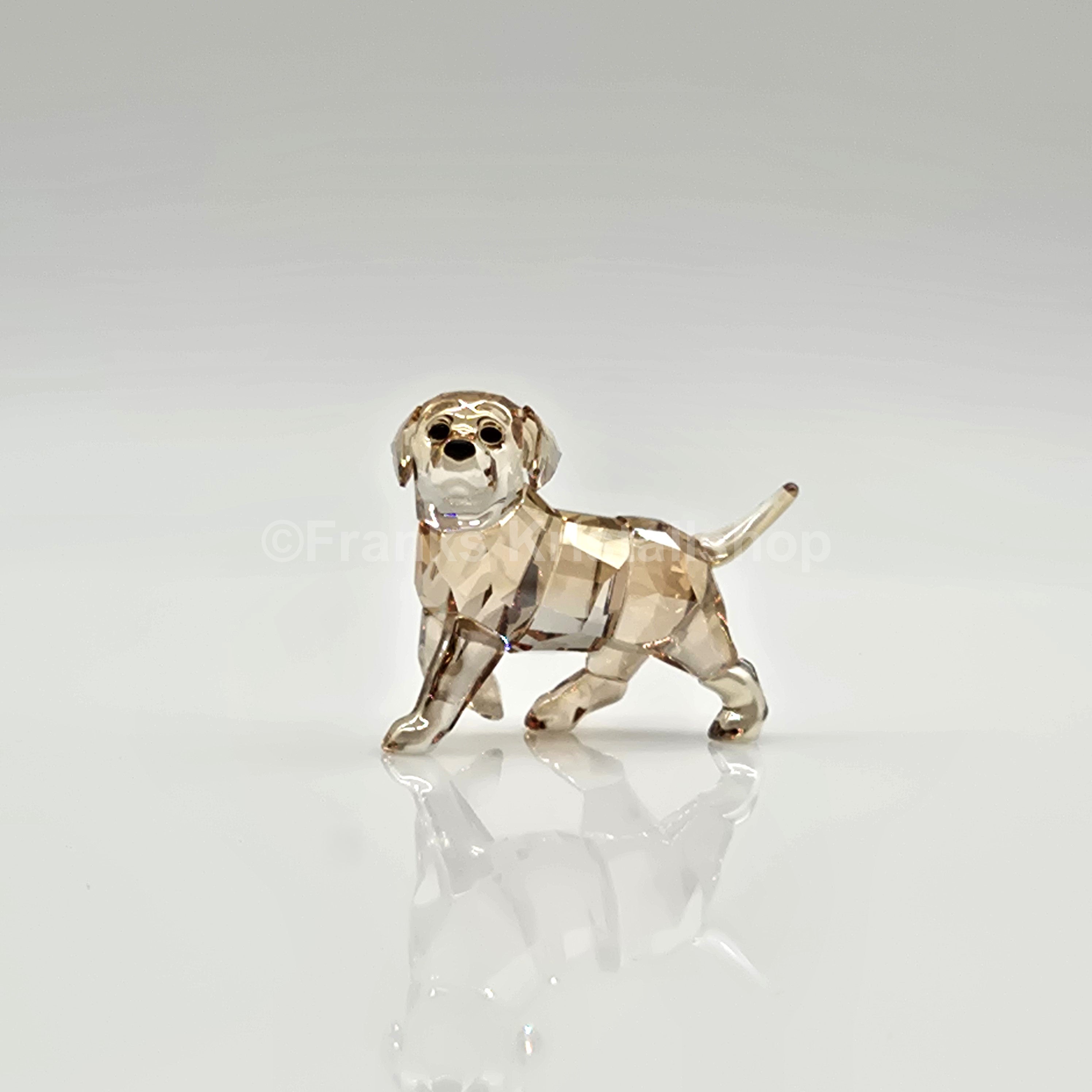 SWAROVSKI Golden Retriever Welpe stehend 1142824