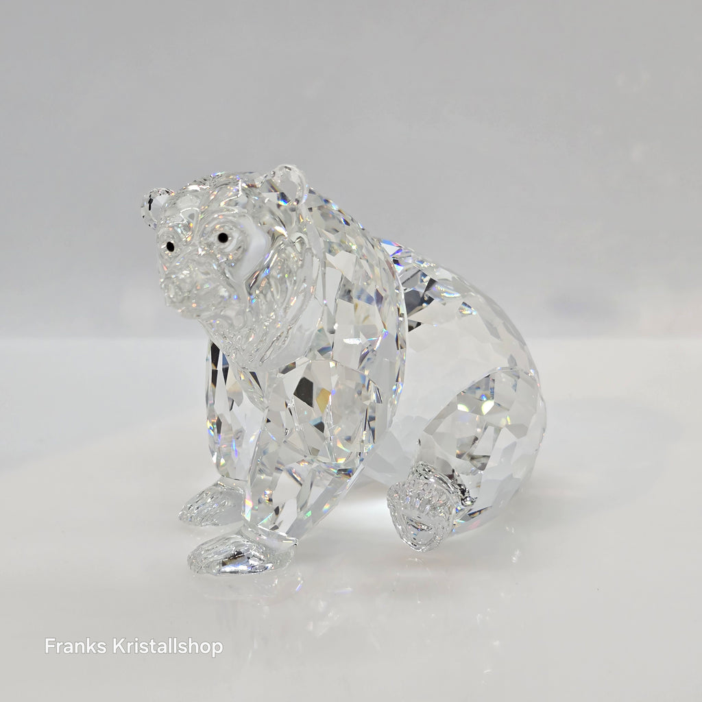 SWAROVSKI Grizzly Bär 243880