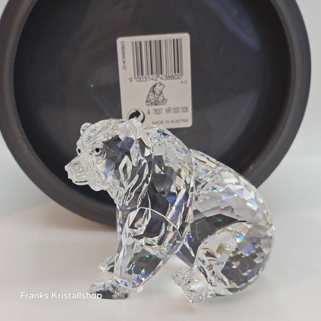 SWAROVSKI Grizzly Bär 243880