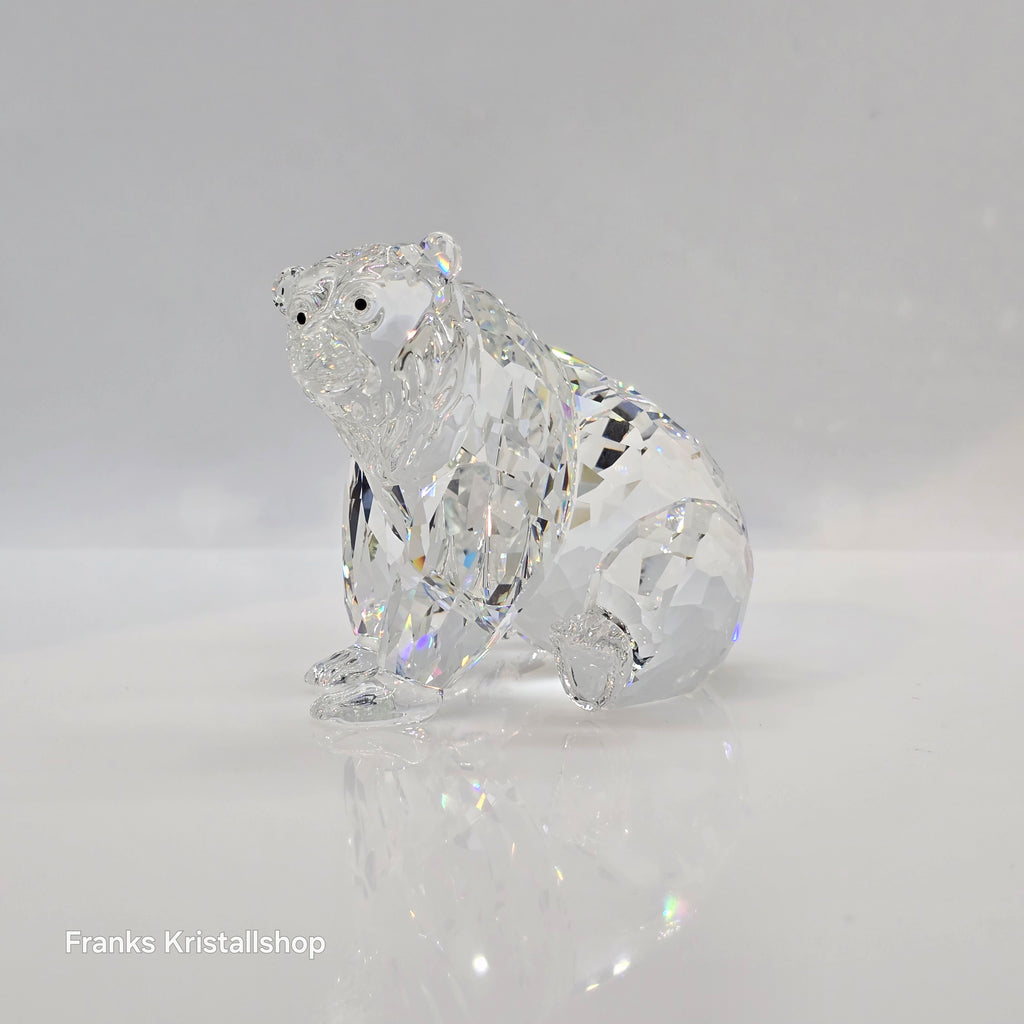 SWAROVSKI Grizzly Bär 243880