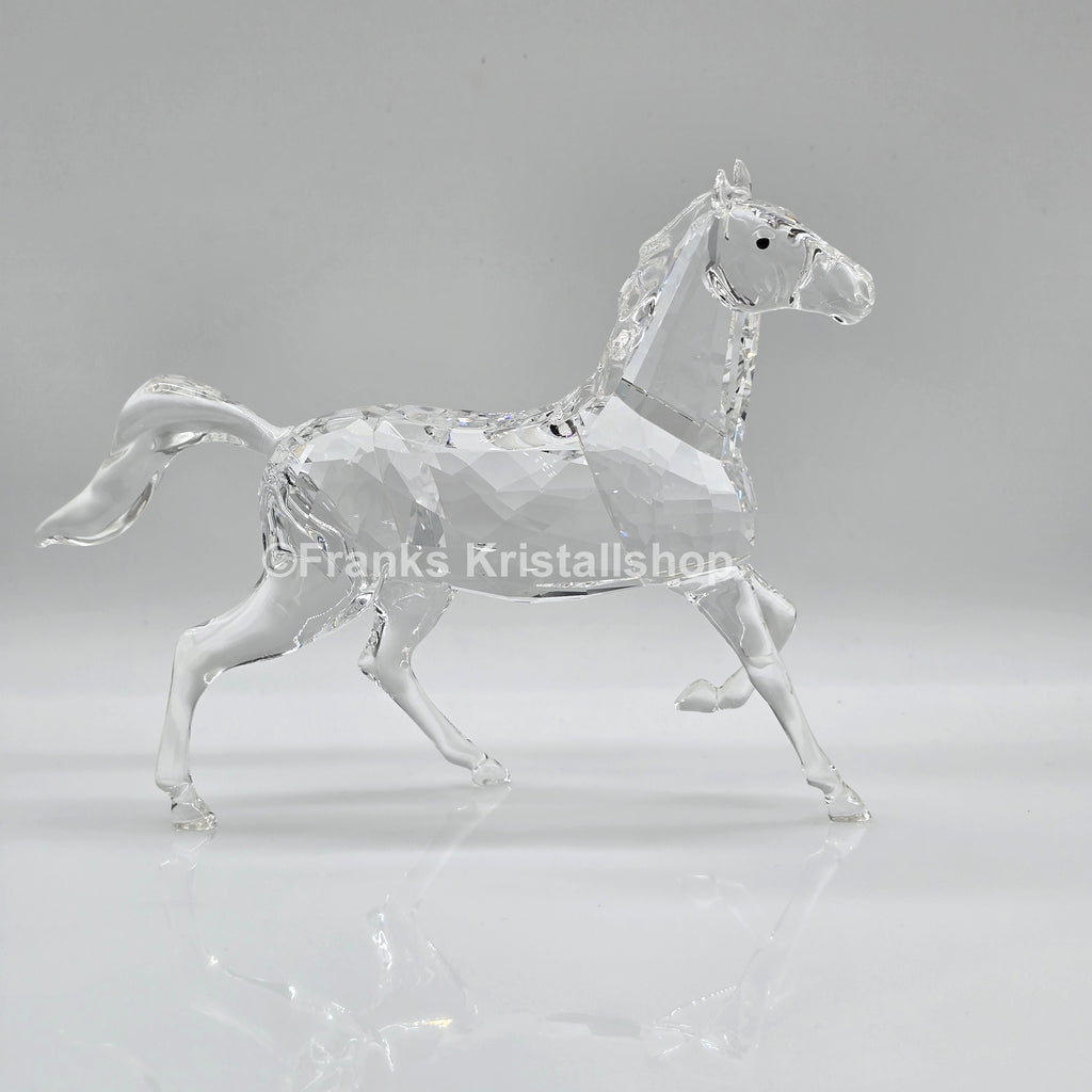 SWAROVSKI Hengst 5135909 oU