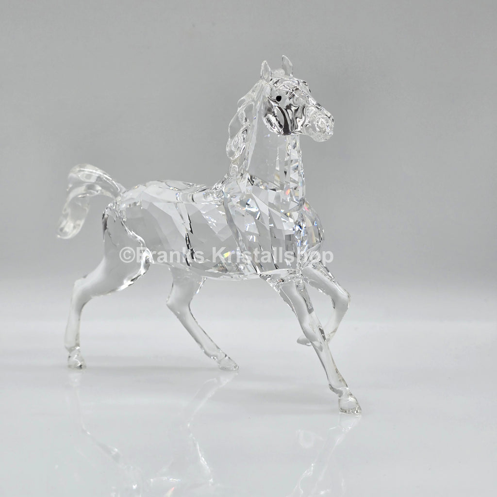 SWAROVSKI Hengst 5135909 oU