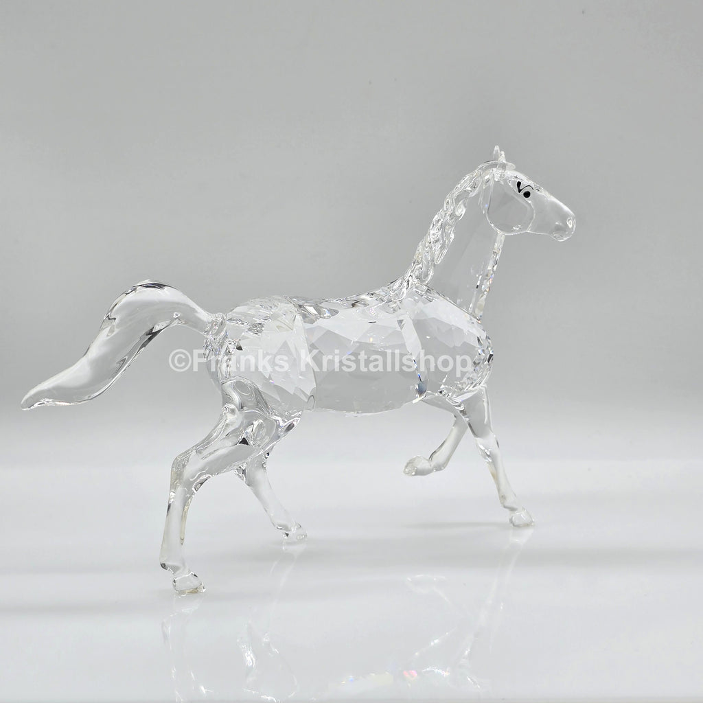 SWAROVSKI Hengst 5135909 oU