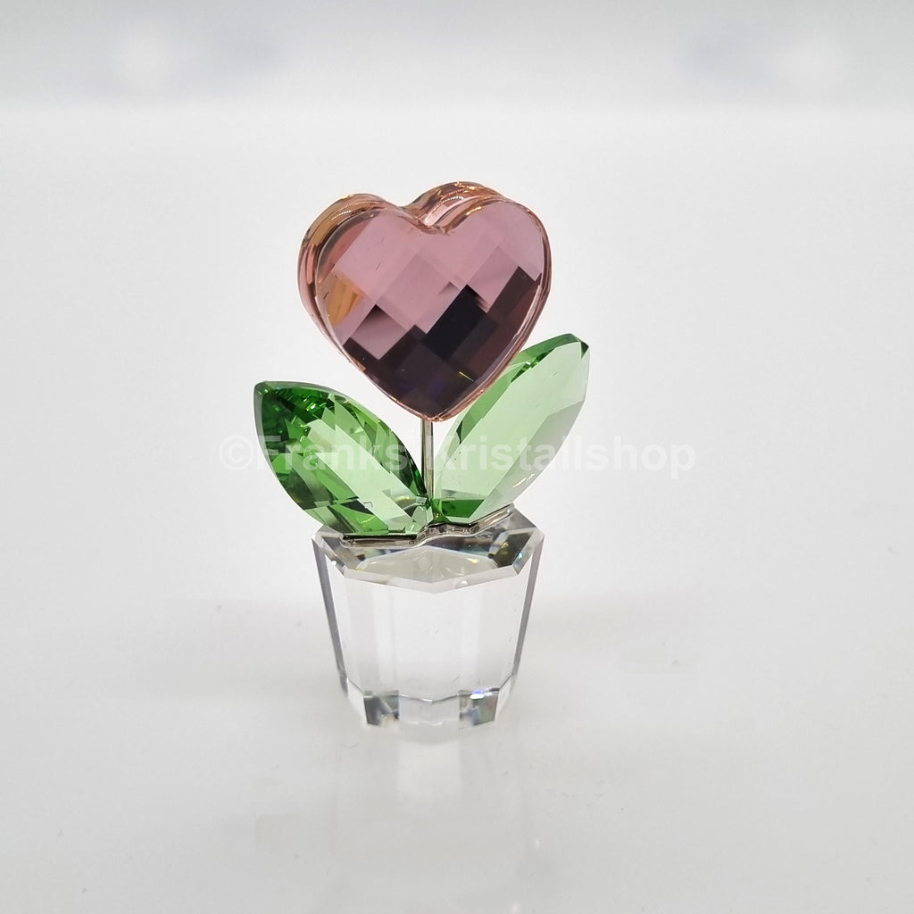 SWAROVSKI Blumenträume Herzblume Rosa im Blumentopf 842858