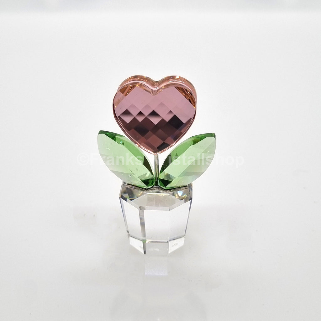 SWAROVSKI Blumenträume Herzblume Rosa im Blumentopf 842858