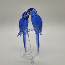 Lade das Bild in den Galerie-Viewer, SWAROVSKI SCS Hyazinth Aras 5004730 oU
