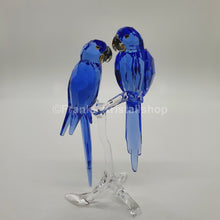 Lade das Bild in den Galerie-Viewer, SWAROVSKI SCS Hyazinth Aras 5004730 oU

