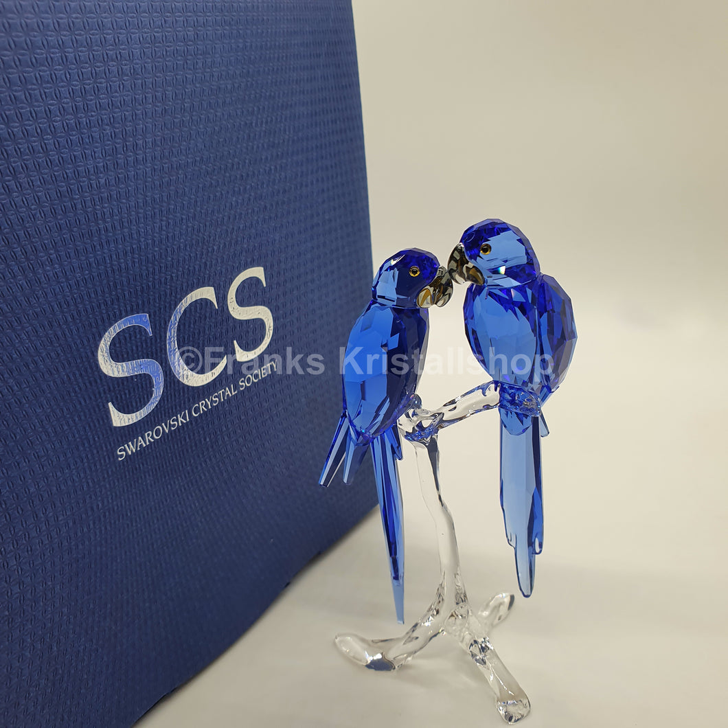 SWAROVSKI SCS Hyazinth Aras 5004730 oU