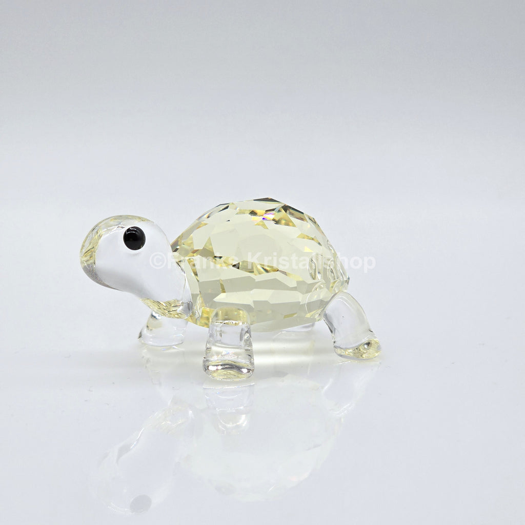Swarovski Idyllia Baby Schildkröte 5721550