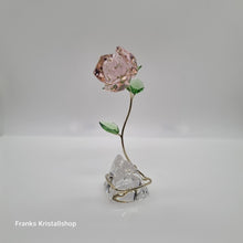 Lade das Bild in den Galerie-Viewer, SWAROVSKI Florere Rose Blumenträume 5666973
