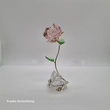 Lade das Bild in den Galerie-Viewer, SWAROVSKI Florere Rose Blumenträume 5666973
