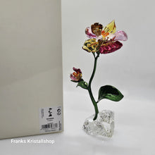 Lade das Bild in den Galerie-Viewer, SWAROVSKI Idyllia Flower Groß L Blumenträume 5639886
