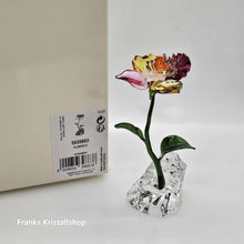 Lade das Bild in den Galerie-Viewer, SWAROVSKI Idyllia Blume Klein S Blumenträume 5639883
