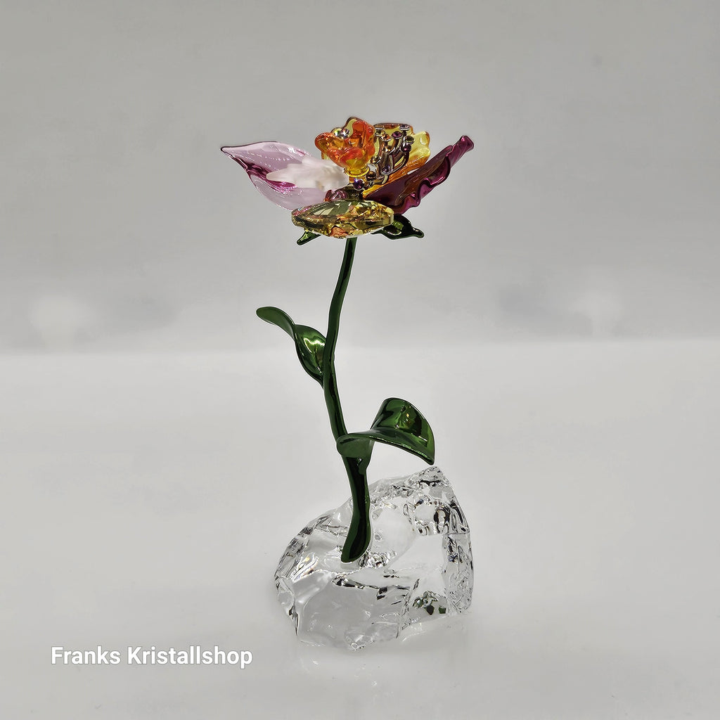 SWAROVSKI Idyllia Blume Klein S Blumenträume 5639883