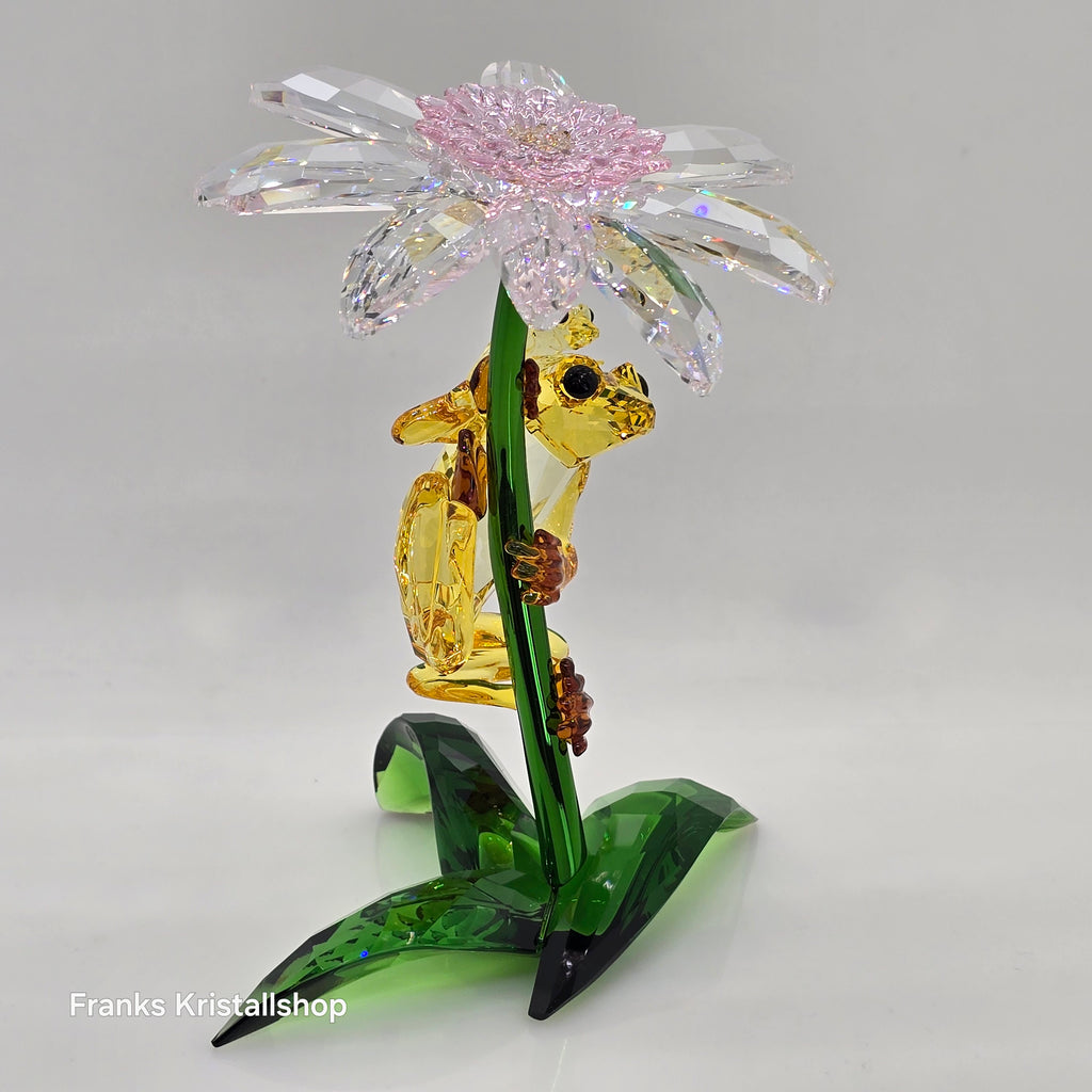 SWAROVSKI Idyllia Frösche und Blume 5670892