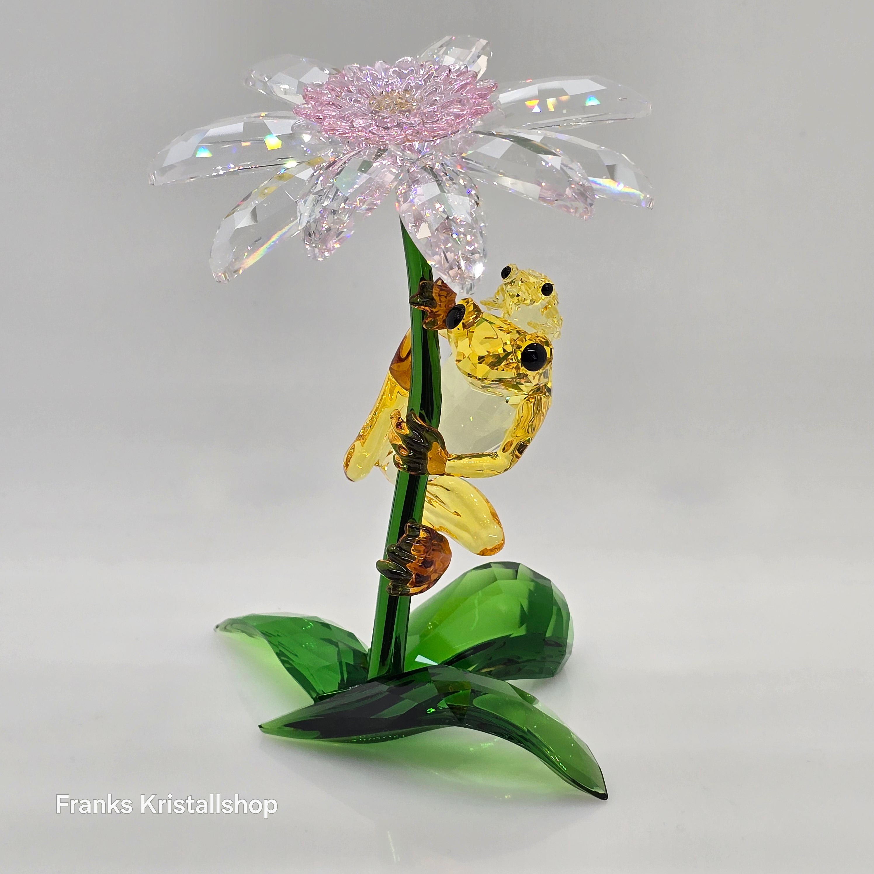 SWAROVSKI Idyllia Frösche und Blume 5670892