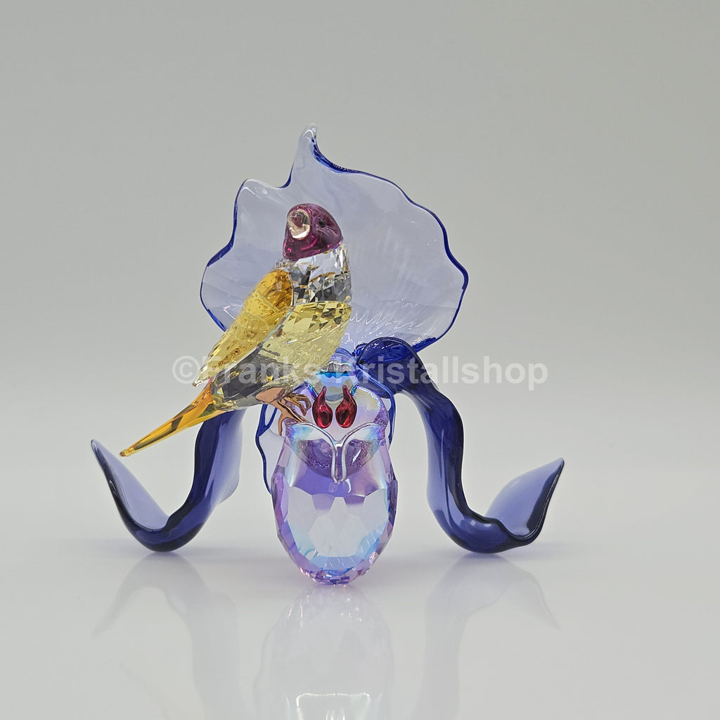 SWAROVSKI Idyllia Gouldamadine und Orchidee 5675211