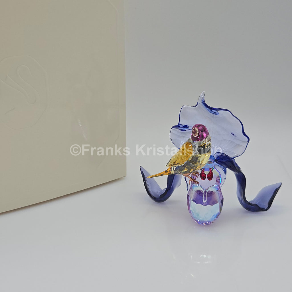 SWAROVSKI Idyllia Gouldamadine und Orchidee 5675211