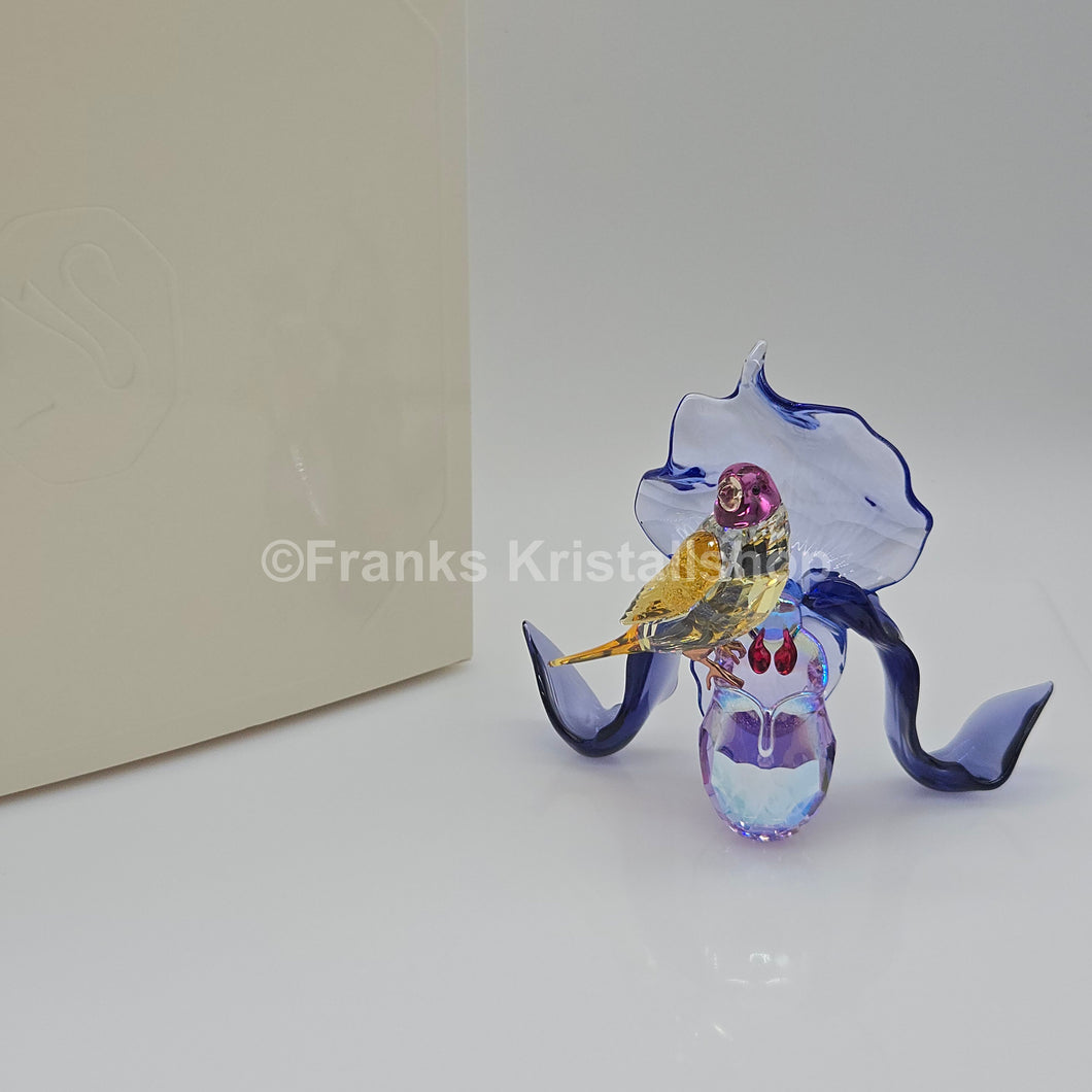 SWAROVSKI Idyllia Gouldamadine und Orchidee 5675211