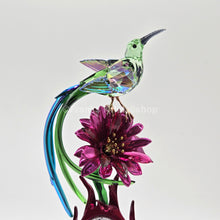 Lade das Bild in den Galerie-Viewer, SWAROVSKI Idyllia Honigfresser und Drachenfrucht Totem 5677289
