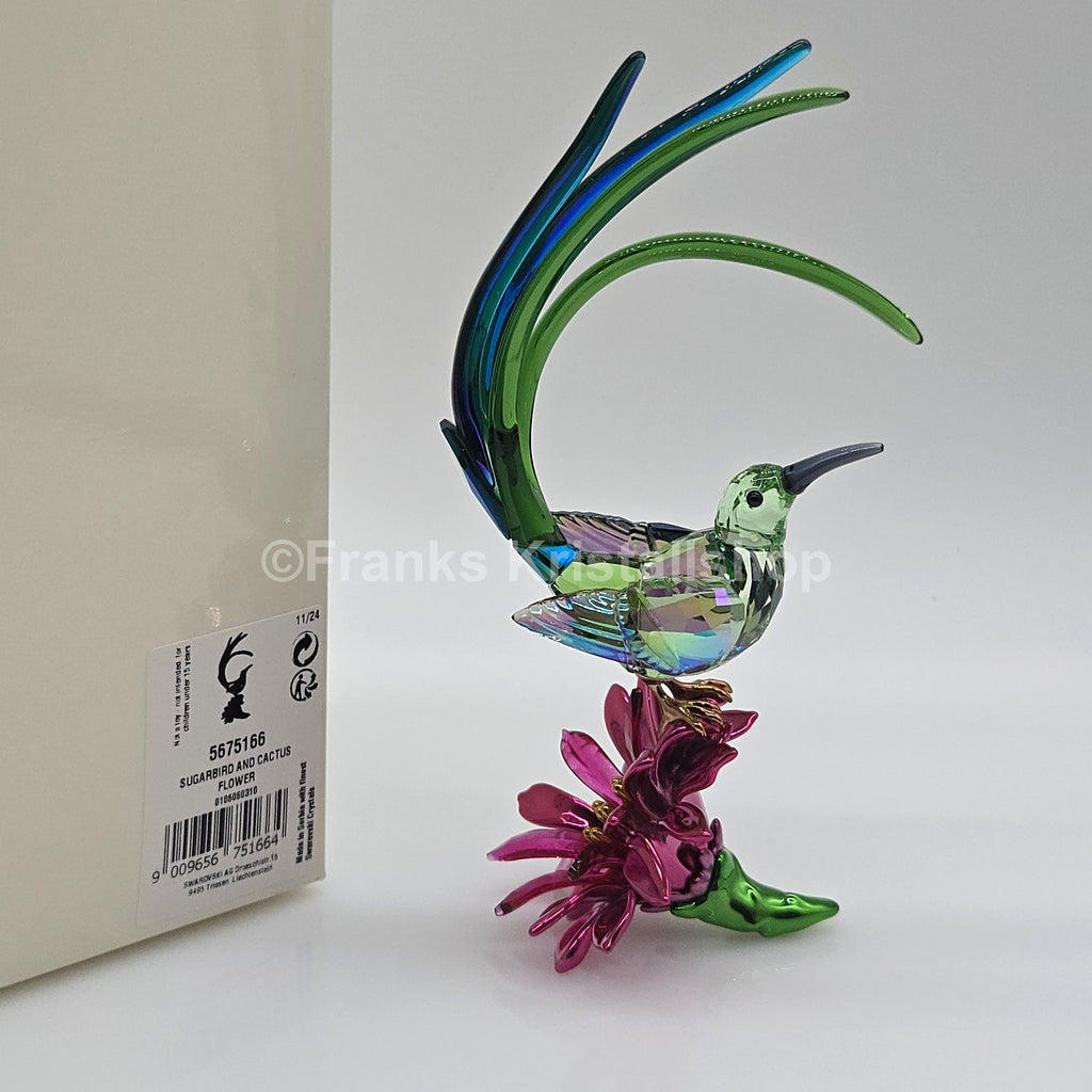 SWAROVSKI Idyllia Honigfresser und Kaktusblume 5675166