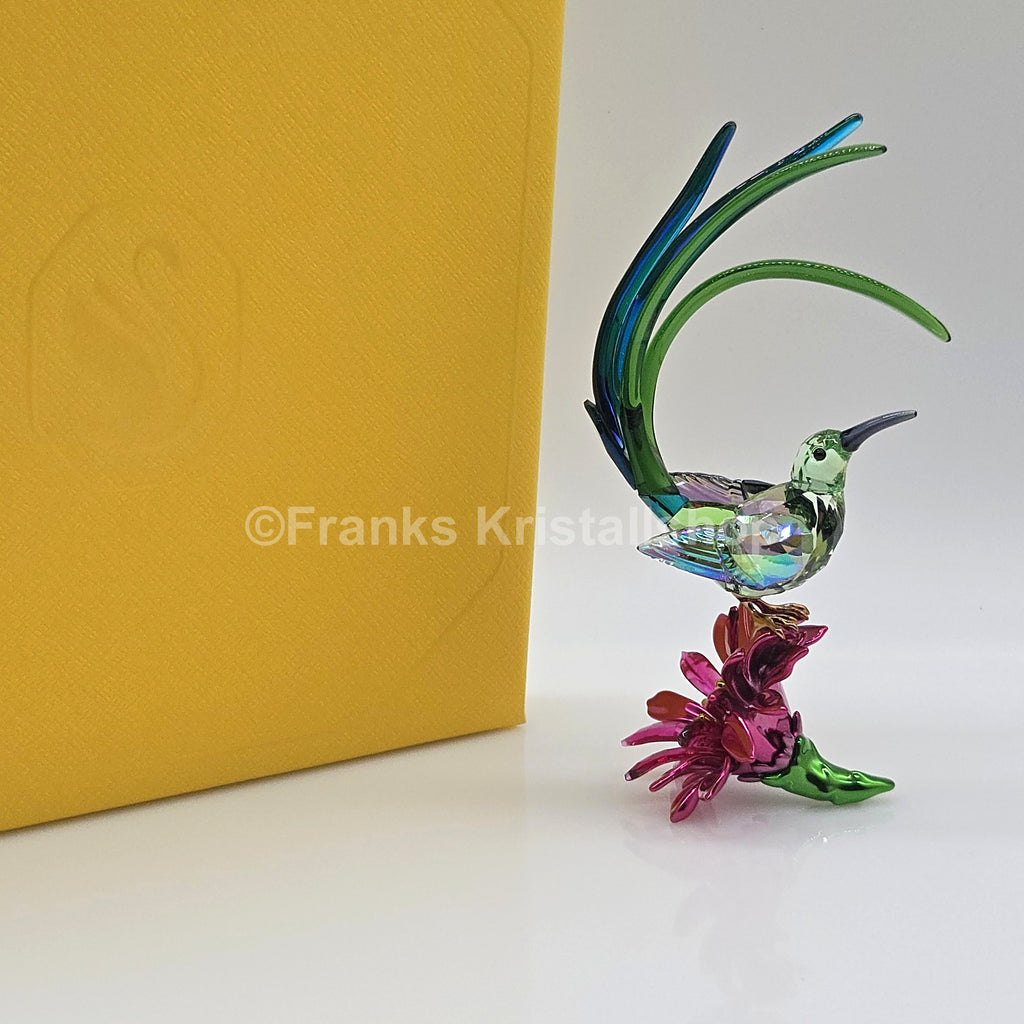 SWAROVSKI Idyllia Honigfresser und Kaktusblume 5675166