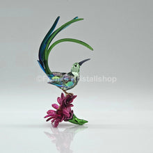 Lade das Bild in den Galerie-Viewer, SWAROVSKI Idyllia Honigfresser und Kaktusblume 5675166
