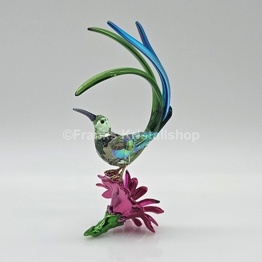 SWAROVSKI Idyllia Honigfresser und Kaktusblume 5675166