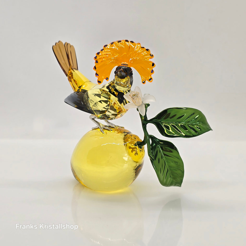 SWAROVSKI Idyllia Kronenbekarde 5651811