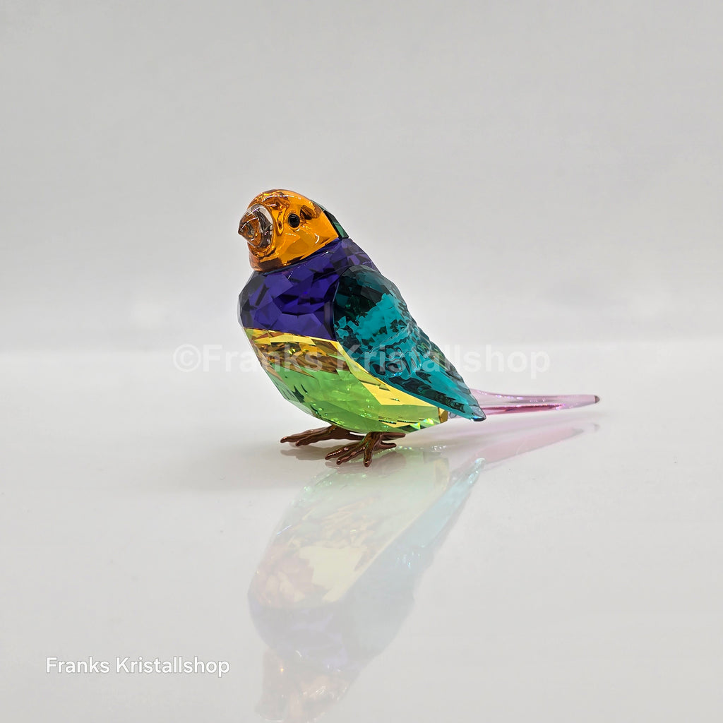 SWAROVSKI SCS Annual Edition 2024 Idyllia Gouldian Finch Small 5689266