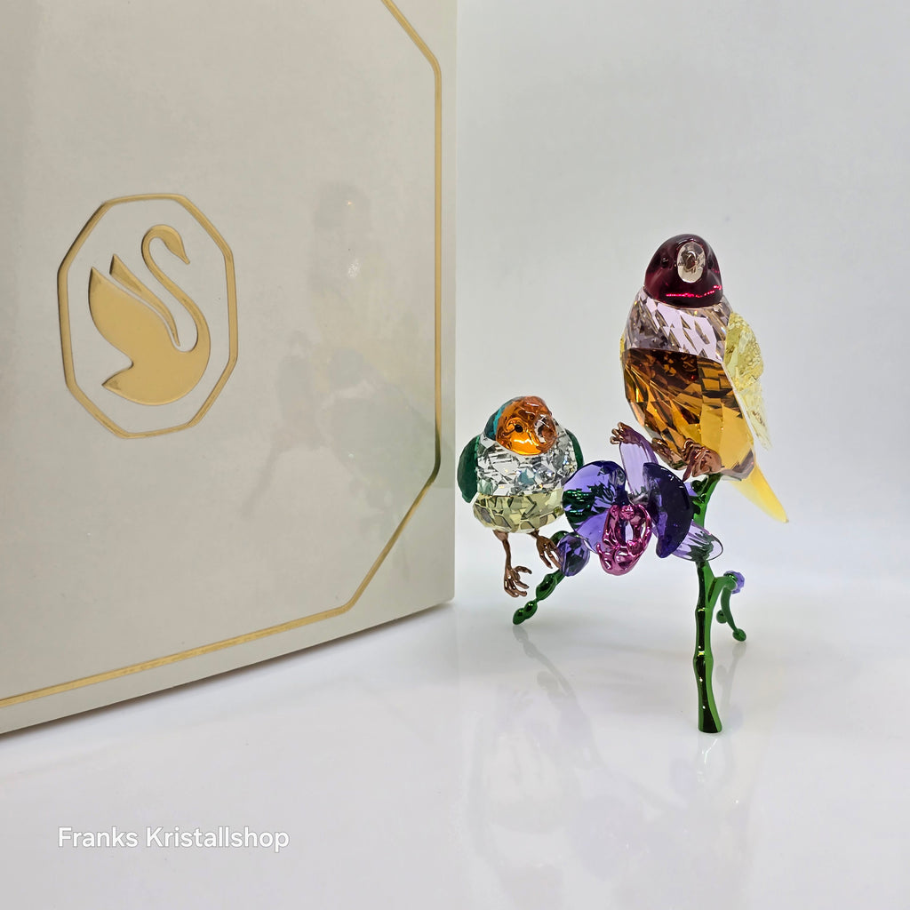 SWAROVSKI SCS Jahresfigur 2024 Idyllia Gouldamadinen 5670031