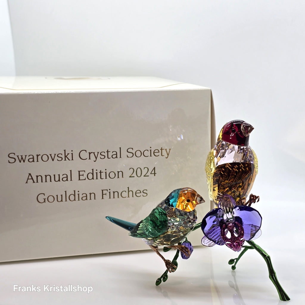 SWAROVSKI SCS Jahresfigur 2024 Idyllia Gouldamadinen 5670031