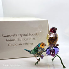 Lade das Bild in den Galerie-Viewer, SWAROVSKI SCS Jahresfigur 2024 Idyllia Gouldamadinen 5670031
