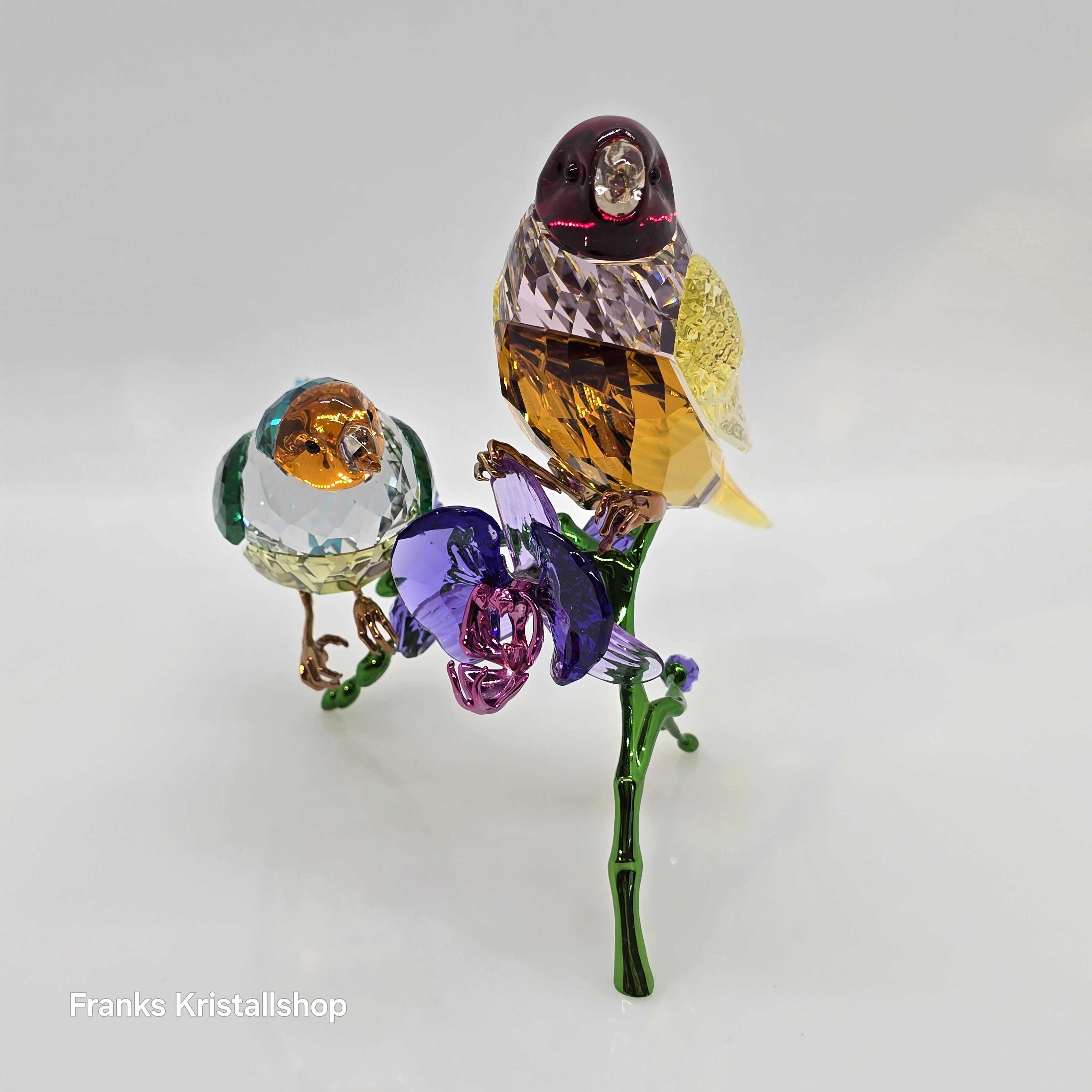 SWAROVSKI SCS Jahresfigur 2024 Idyllia Gouldamadinen 5670031