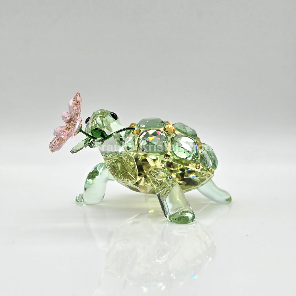 SWAROVSKI Idyllia Schildkröte und Margerite 5721542