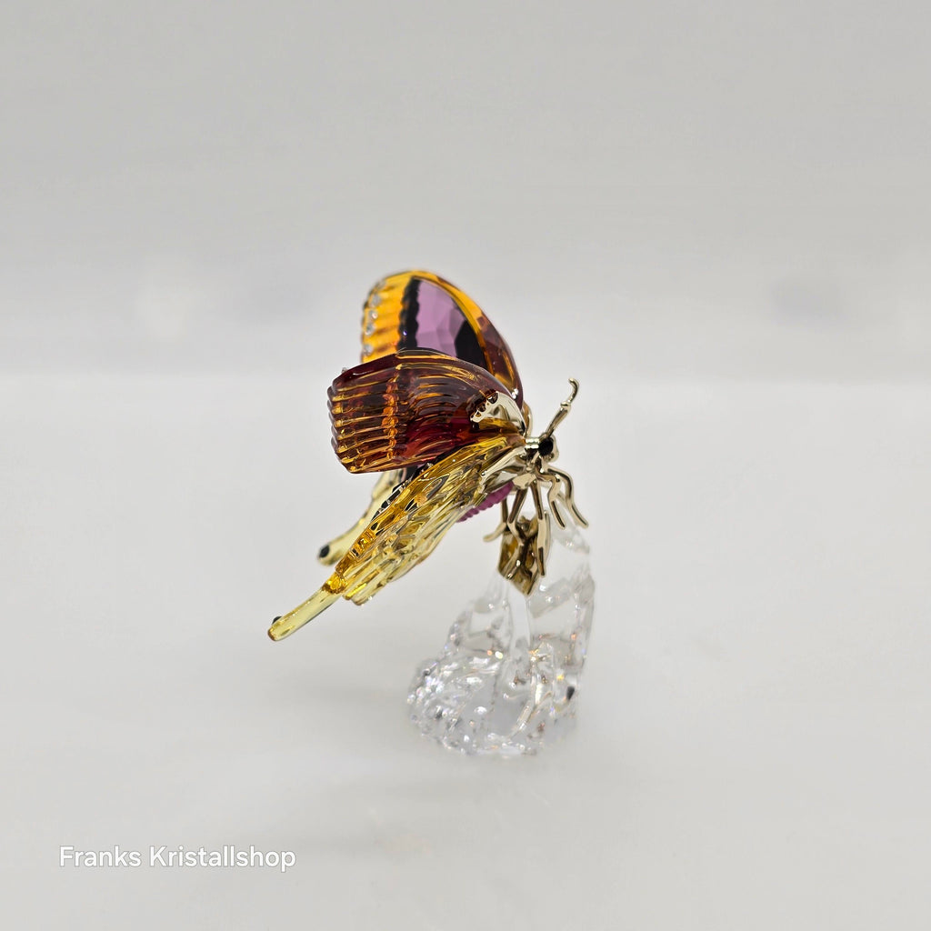 SWAROVSKI Idyllia Schmetterling 5650796