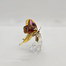 Lade das Bild in den Galerie-Viewer, SWAROVSKI Idyllia Schmetterling 5650796
