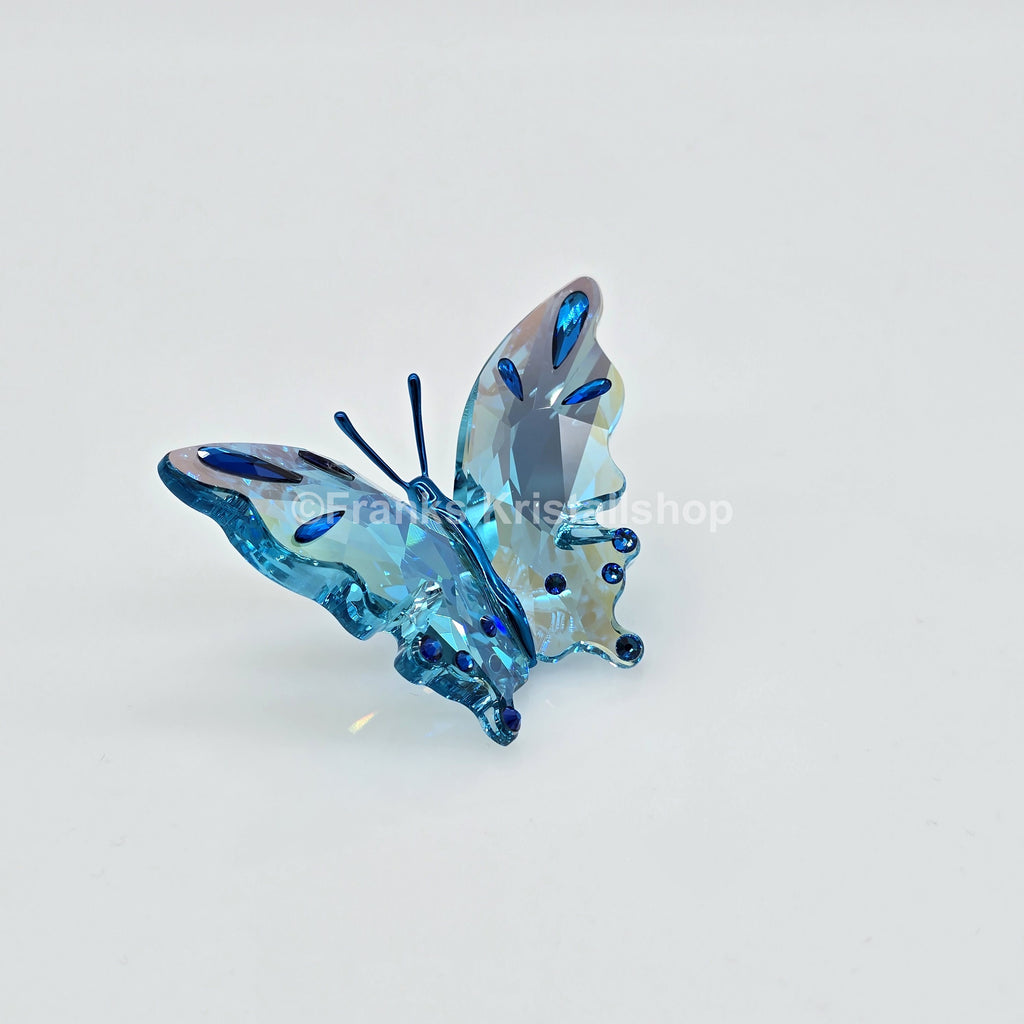 SWAROVSKI Idyllia Schmetterling Türkis 5721539