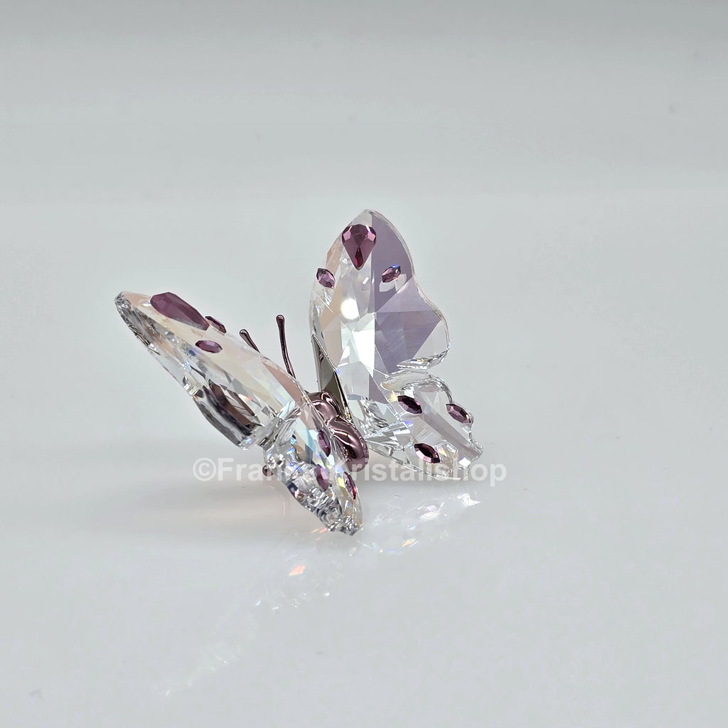 SWAROVSKI Idyllia Schmetterling klein 5691959