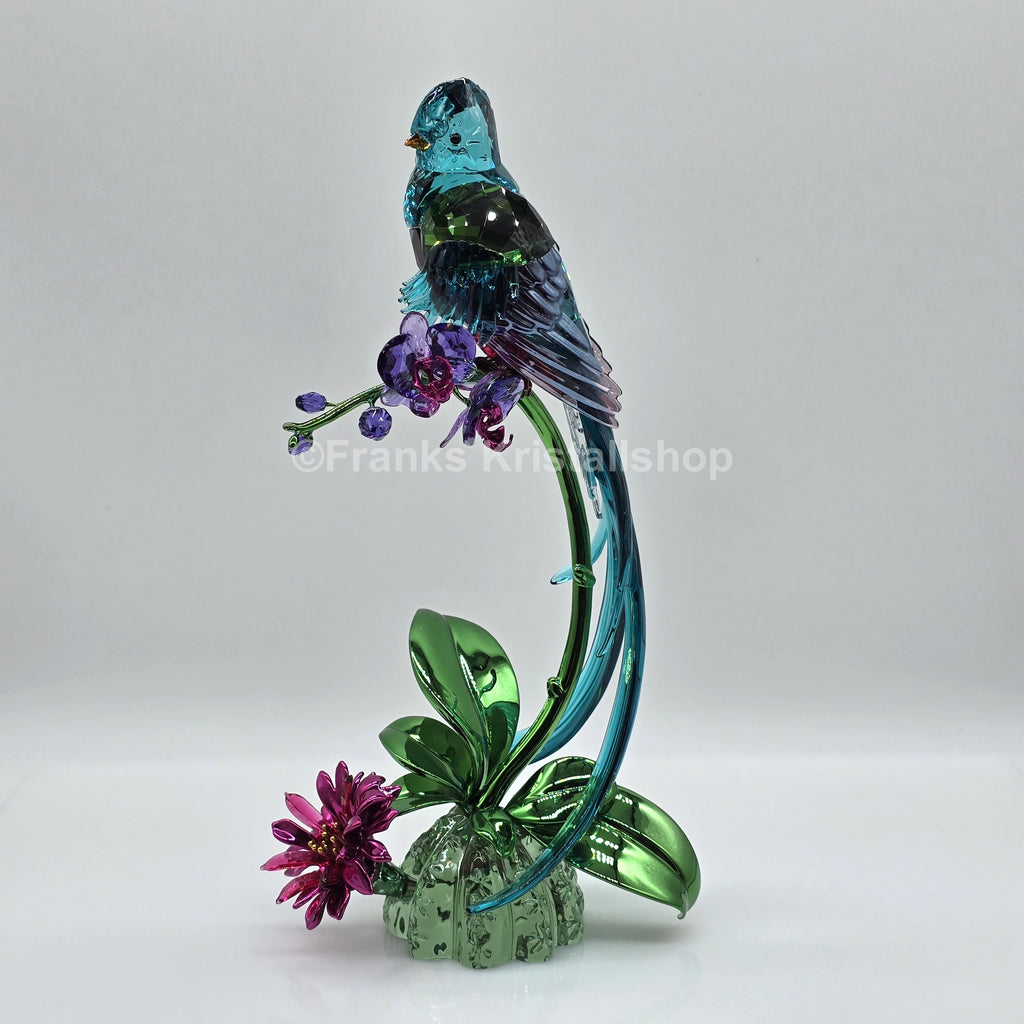 SWAROVSKI Idyllia Vogel Quetzal und Orchidee 5682123