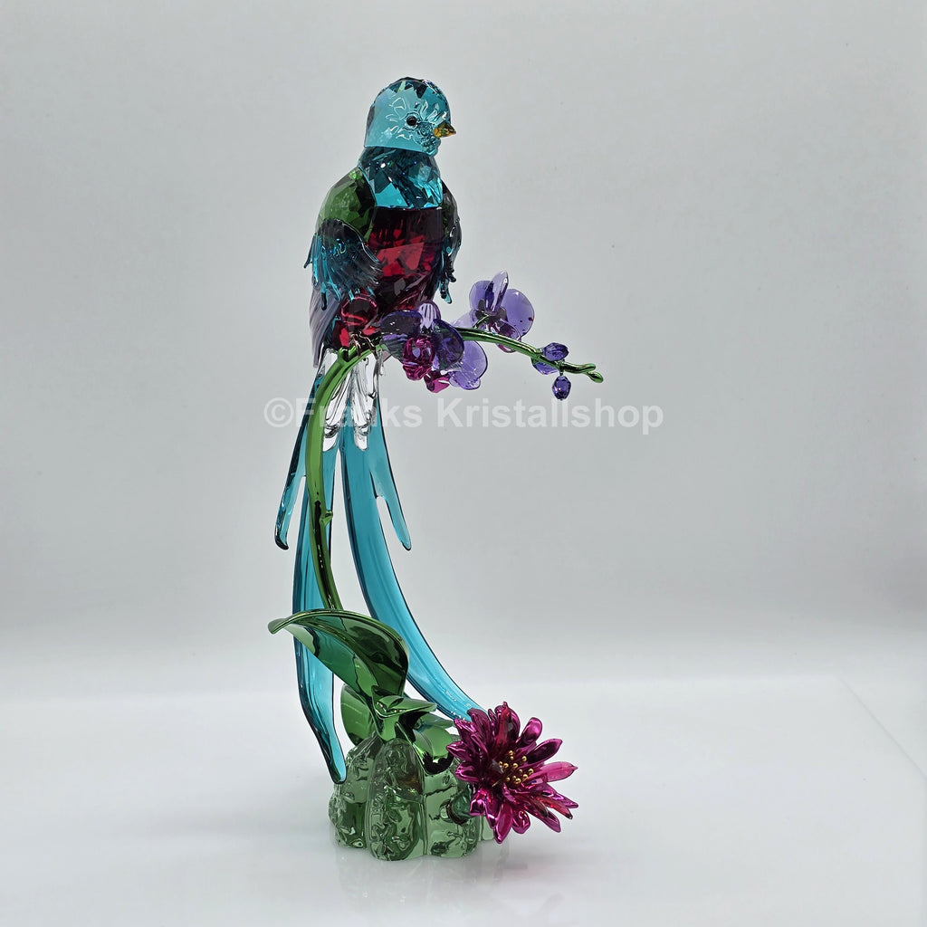 SWAROVSKI Idyllia Vogel Quetzal und Orchidee 5682123