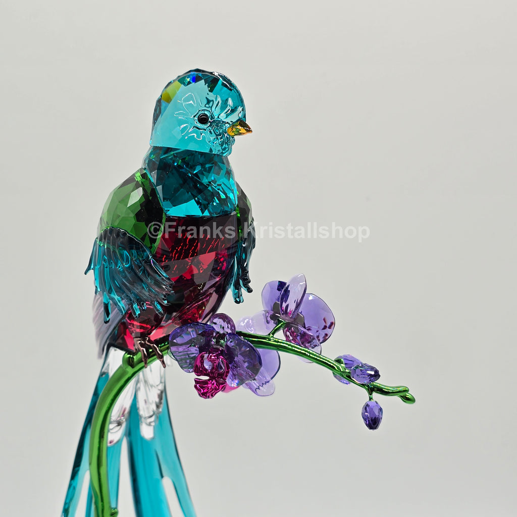 SWAROVSKI Idyllia Vogel Quetzal und Orchidee 5682123