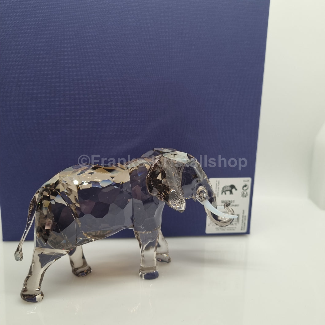 SWAROVSKI SCS Elefant 2022 Zena 5607667
