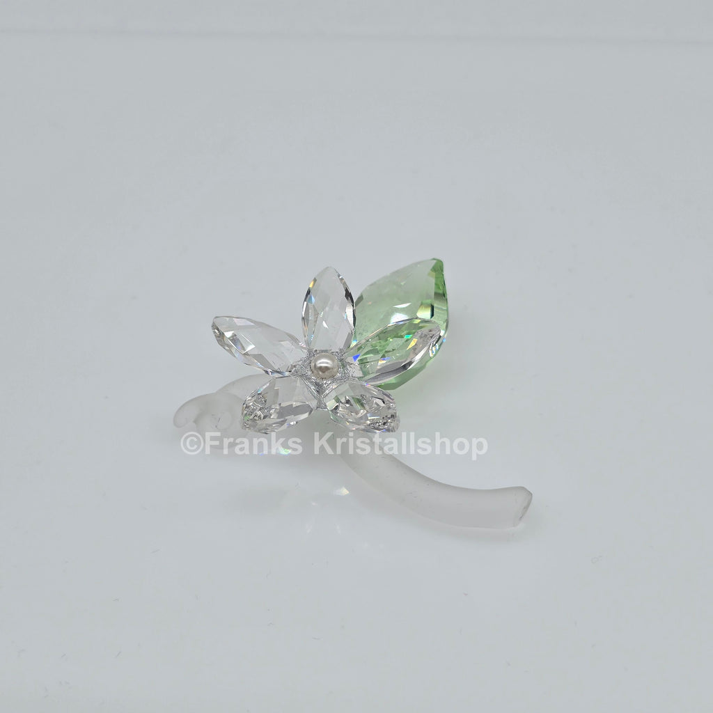 SWAROVSKI Blumenträume Jasminblüte Klein 918440