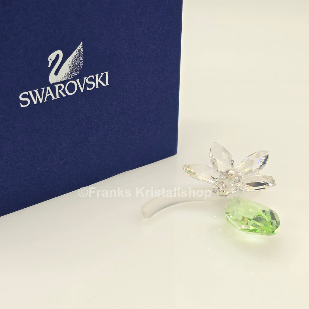 SWAROVSKI Blumenträume Jasminblüte Klein 918440