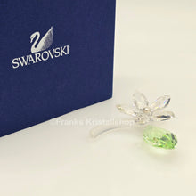 Lade das Bild in den Galerie-Viewer, SWAROVSKI Blumenträume Jasminblüte Klein 918440
