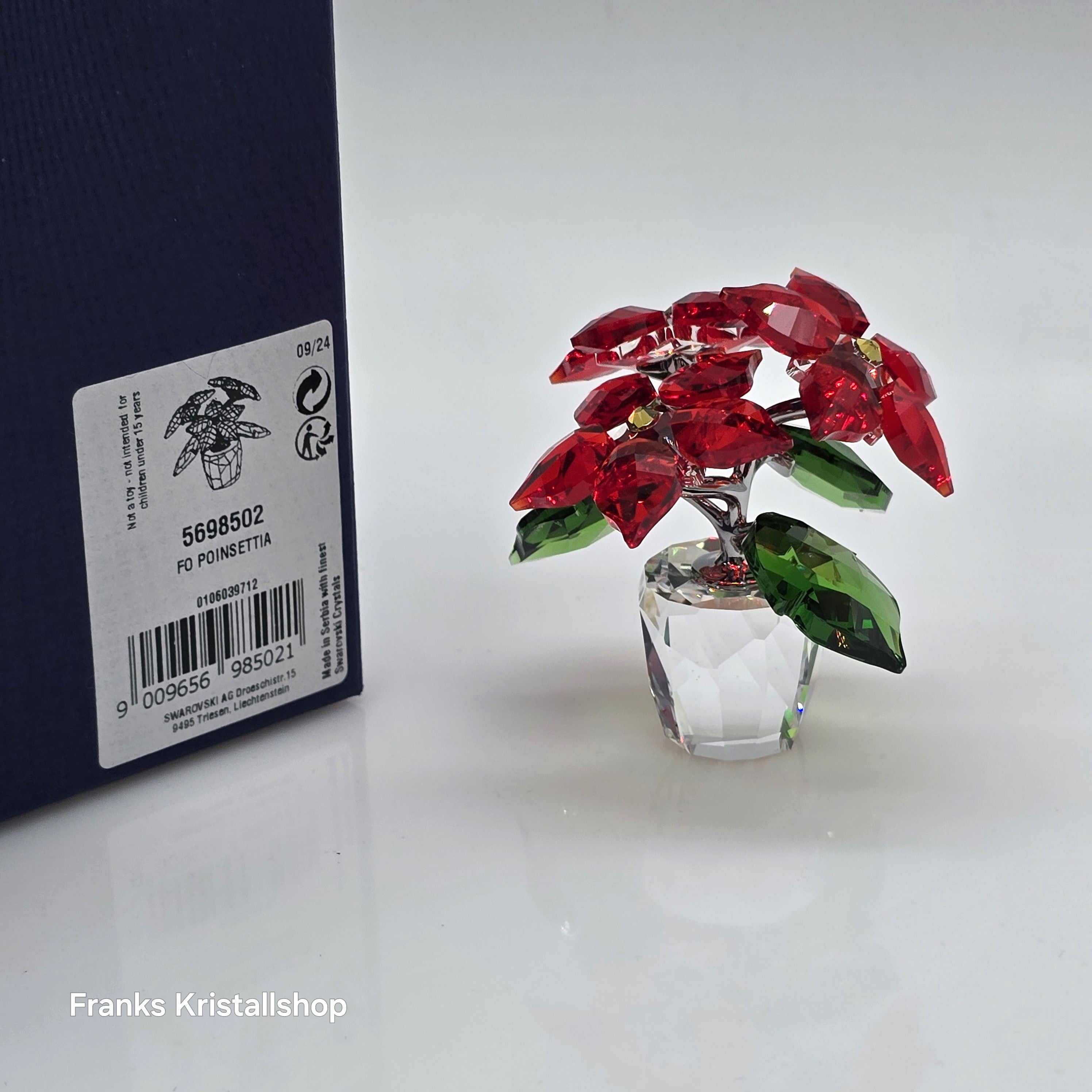 SWAROVSKI Joyful Christstern mittel 5698502 - 5538626